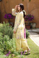 RANG RASIA