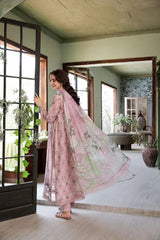 Aneela